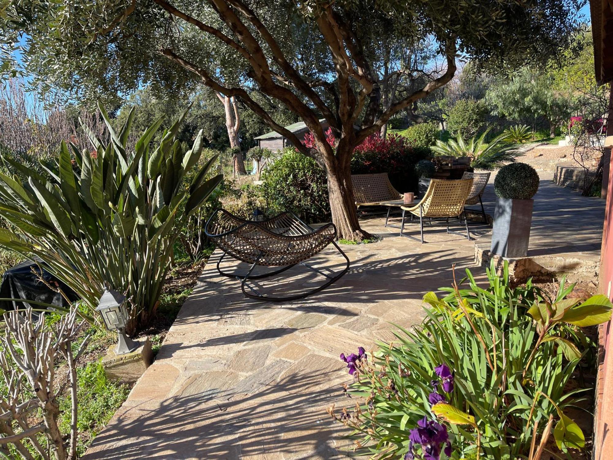 Carpediem_Corsica Poggio-d'Oletta ภายนอก รูปภาพ