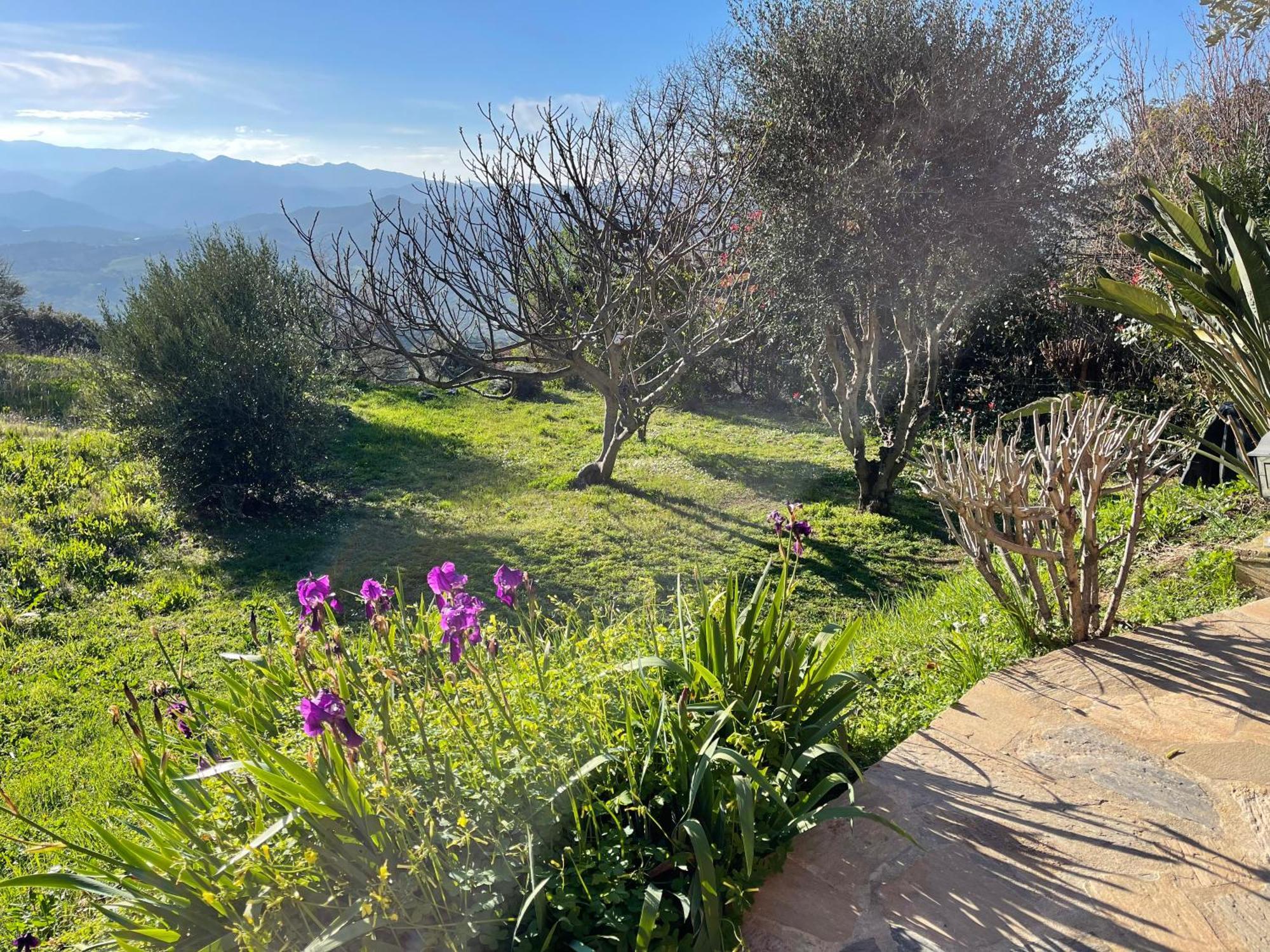 Carpediem_Corsica Poggio-d'Oletta ภายนอก รูปภาพ