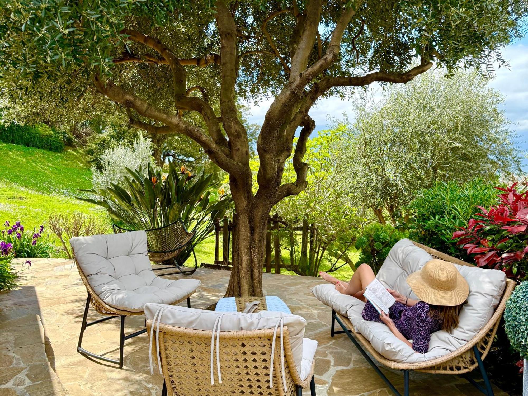 Carpediem_Corsica Poggio-d'Oletta ภายนอก รูปภาพ